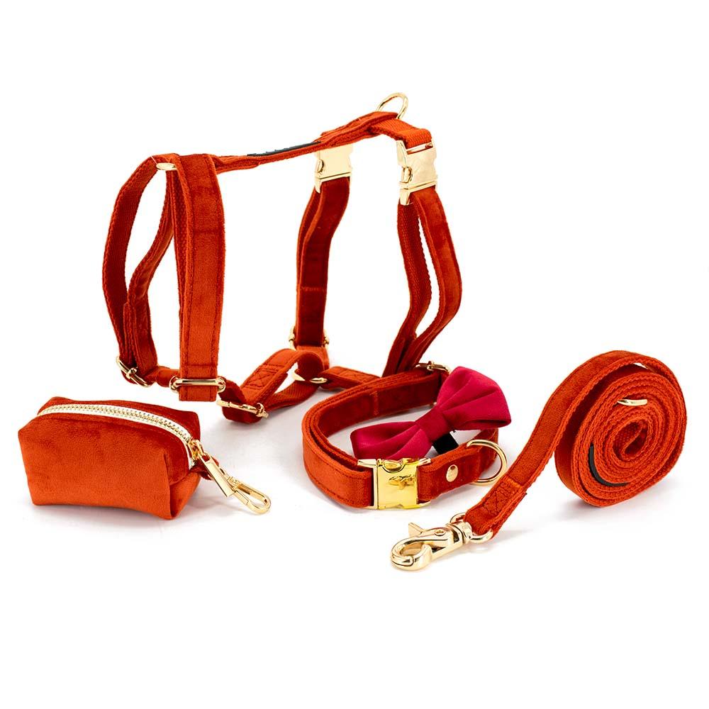 Fluwelen Diamond Tuig En Riem Voor Honden - Ruffy
