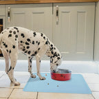 Waterdichte Antislipmat Voor Honden Eet- en Drinkbak - Ruffy