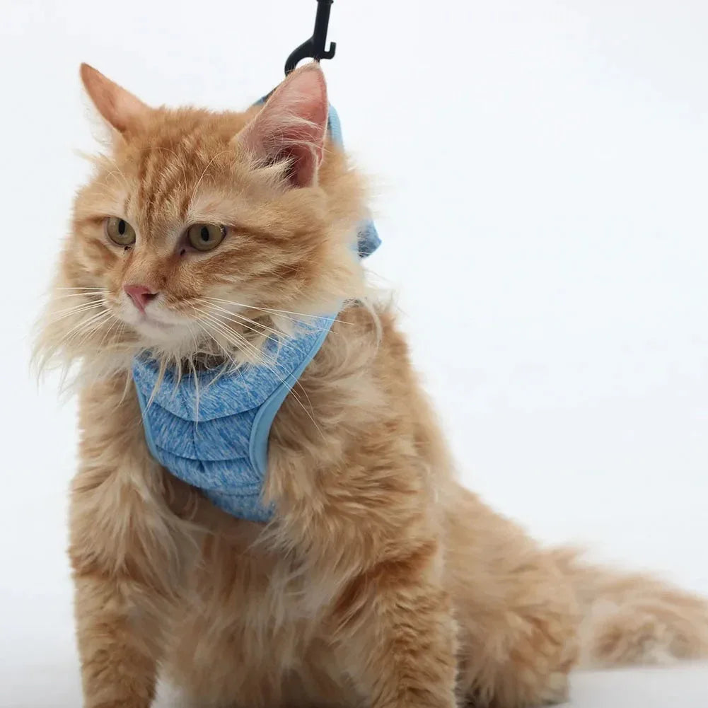 Luxe verstelbaar kattentuigje met bijpassende riem – Stijlvol en comfortabel voor dagelijkse wandelingen - Ruffy