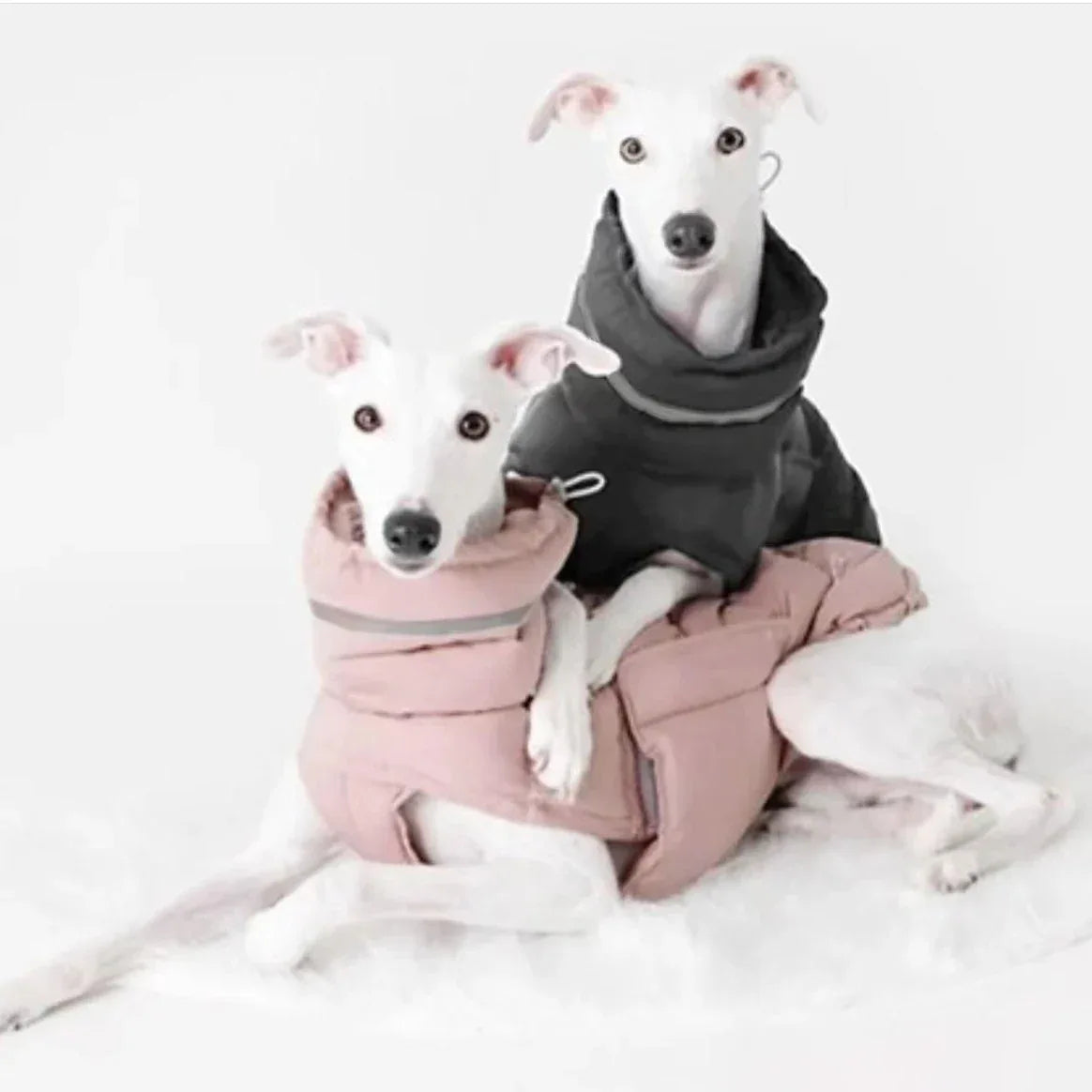 Waterdichte Winterjas voor Honden Warm Verstelbaar met Reflecterende Strips Machinewasbaar - Ruffy