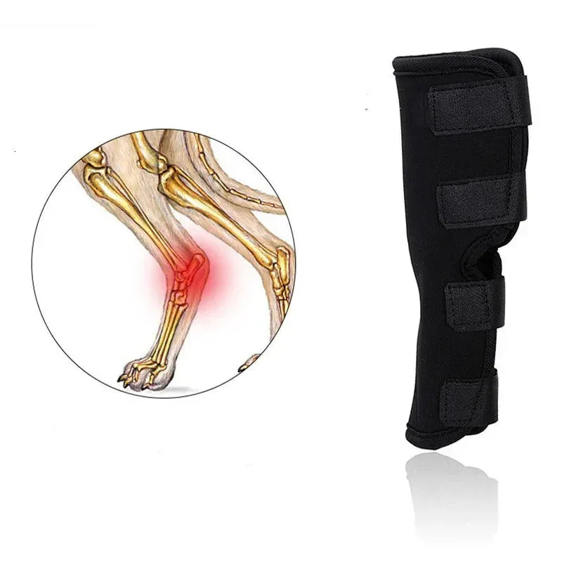 Hondenkniebrace | Orthopedische Ondersteuning | Verstelbare Compressiewrap - Ruffy