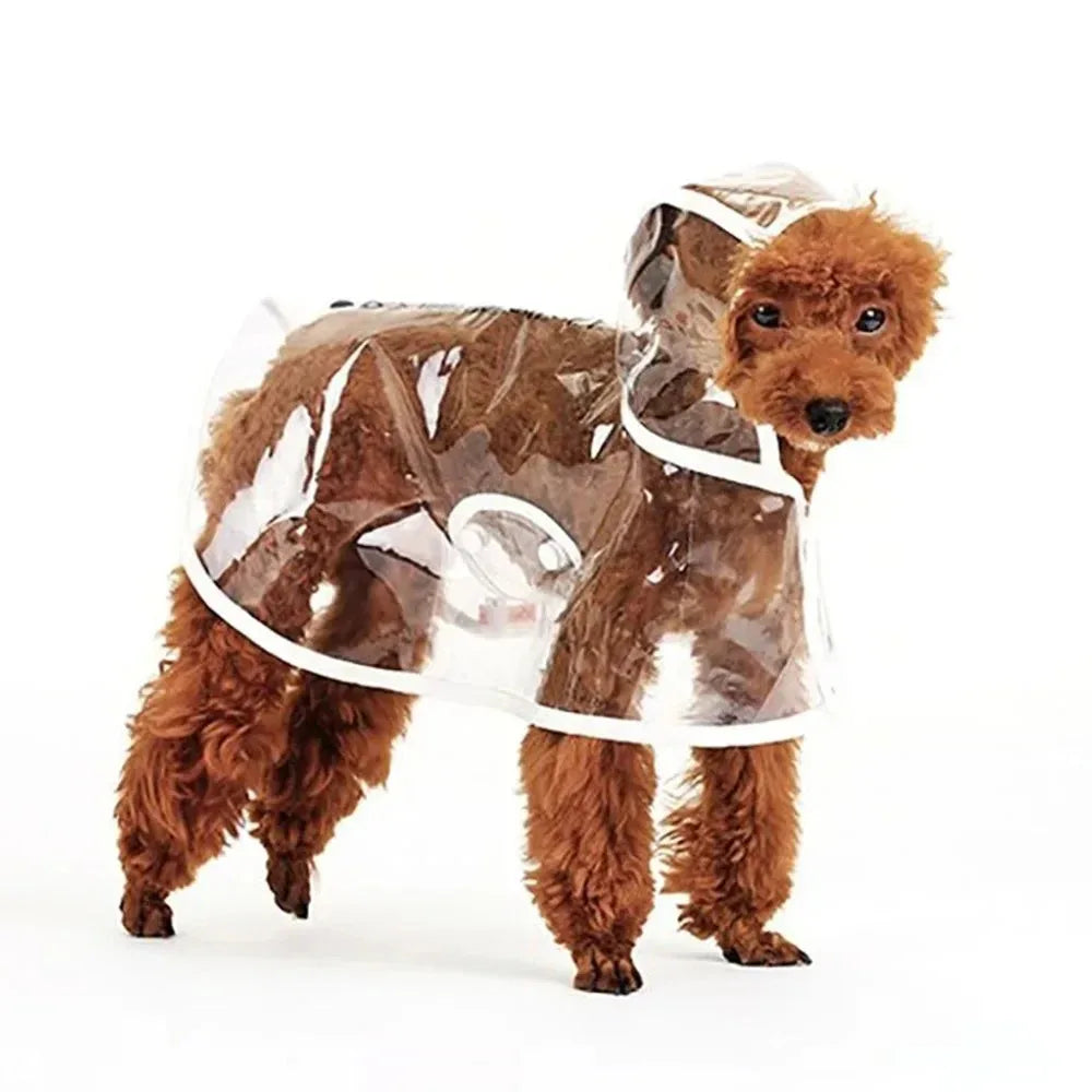 Transparante Regenjas voor Kleine Honden Waterdichte Poncho Duurzaam en Stijlvol - Ruffy