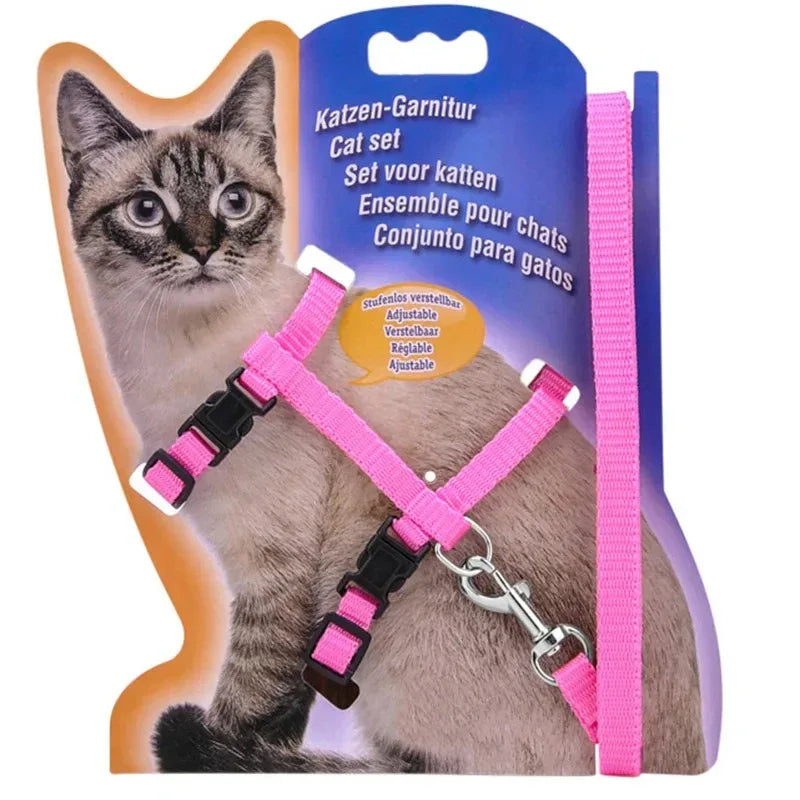 Duurzaam verstelbaar nylon kattentuig met bijpassende riem – veiligheid en comfort voor actieve katten - Ruffy