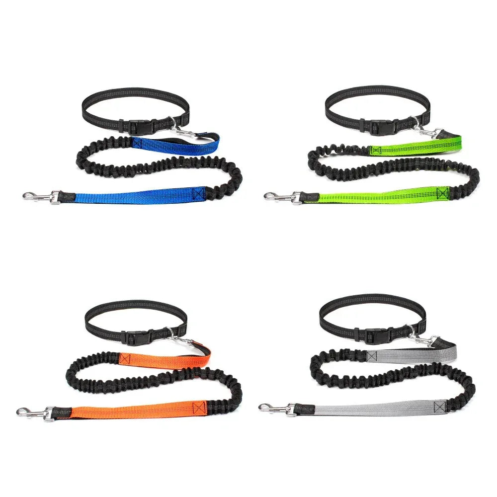 Hands-Free Intrekbare Hondenriem Met Heupriem Reflecterend Bungee Ontwerp Comfortabel Voor Wandelen en Rennen - Ruffy