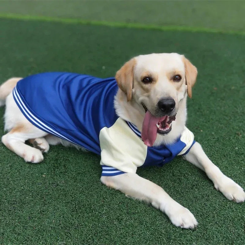 Winterjas Voor Honden Warm Waterbestendig Stijlvol Baseballjack Reflecterend Verstelbaar - Ruffy