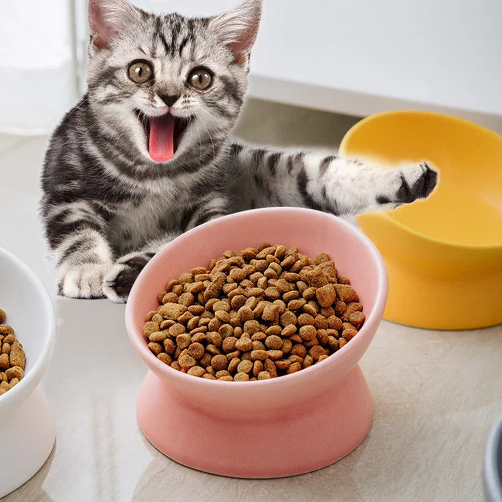 Verhoogde Keramische Huisdieren Voerbak - Ruffy