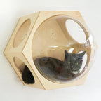 Katten Klimplanken Verticale Speelruimte Duurzaam Modern Ontwerp Eenvoudige Installatie - Ruffy