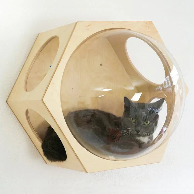 Katten Klimplanken Verticale Speelruimte Duurzaam Modern Ontwerp Eenvoudige Installatie - Ruffy