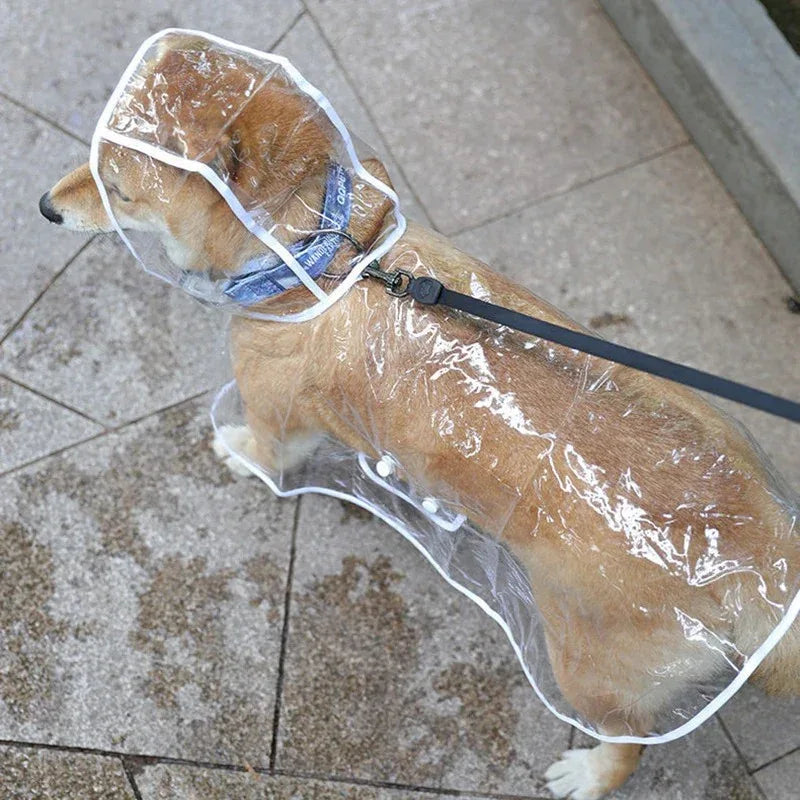Transparante Regenjas voor Kleine Honden Waterdichte Poncho Duurzaam en Stijlvol - Ruffy