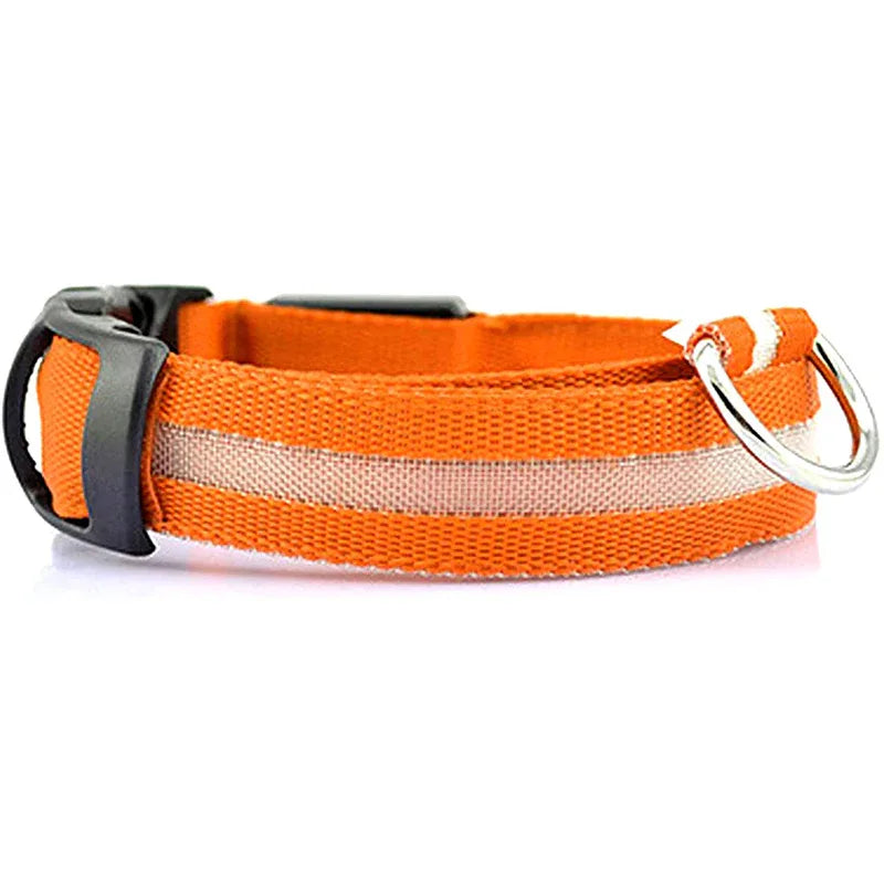 Lichtgevende, Veilige LED-halsband - Ruffy