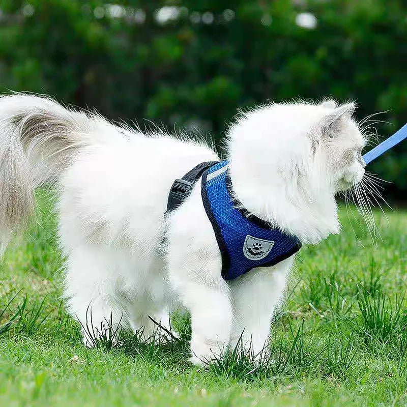 Ademend Hondentuig voor kleine honden - Ruffy