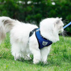 Ademend Hondentuig voor kleine honden - Ruffy