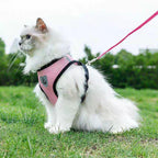 Ademend Hondentuig voor kleine honden - Ruffy
