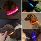 Lichtgevende, Veilige LED-halsband - Ruffy
