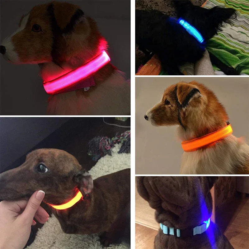 Lichtgevende, Veilige LED-halsband - Ruffy