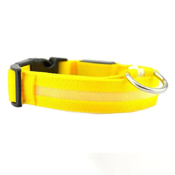 Lichtgevende, Veilige LED-halsband - Ruffy