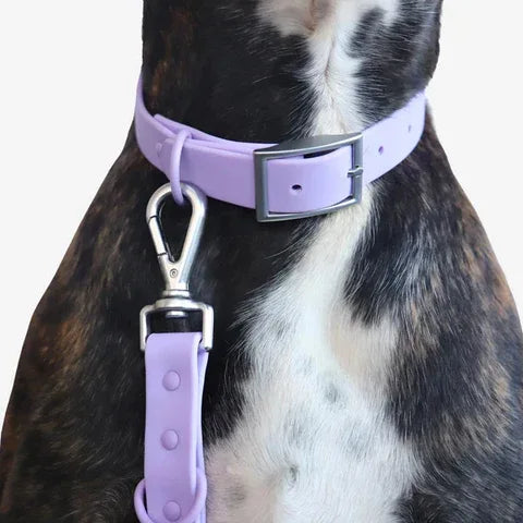 Stijlvolle Halsband-Wandelset voor Honden - Verstelbare Riem Halsband en Poepzakhouder - Ruffy