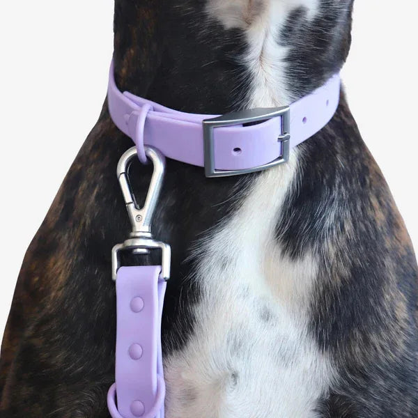 Complete Hondenset - Waterdichte Halsband Leiband Poepzakhouder en Speelgoedset - Ruffy