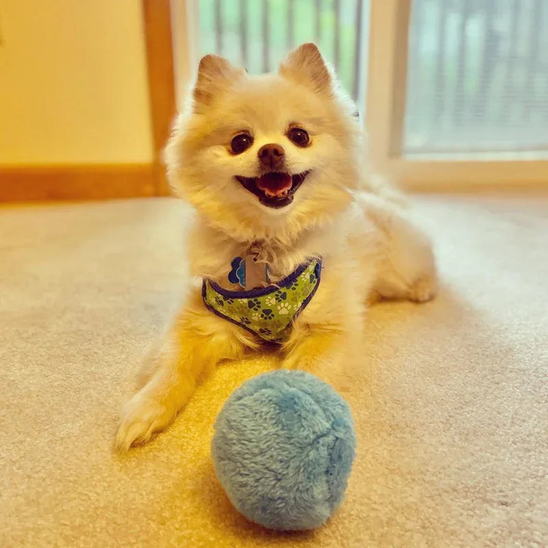 Osinaga Interactieve bal voor honden, duurzame en automatische rolbal, trainingsbal voor puppy's/kleine honden/middelgrote honden, anti-kauwspeelbal (rood Osinaga Interactieve bal voor honden, duurzame en automatische rolbal, trainingsbal voor puppy's/kleine honden/middelgrote honden, anti-kauwspeelbal (rood