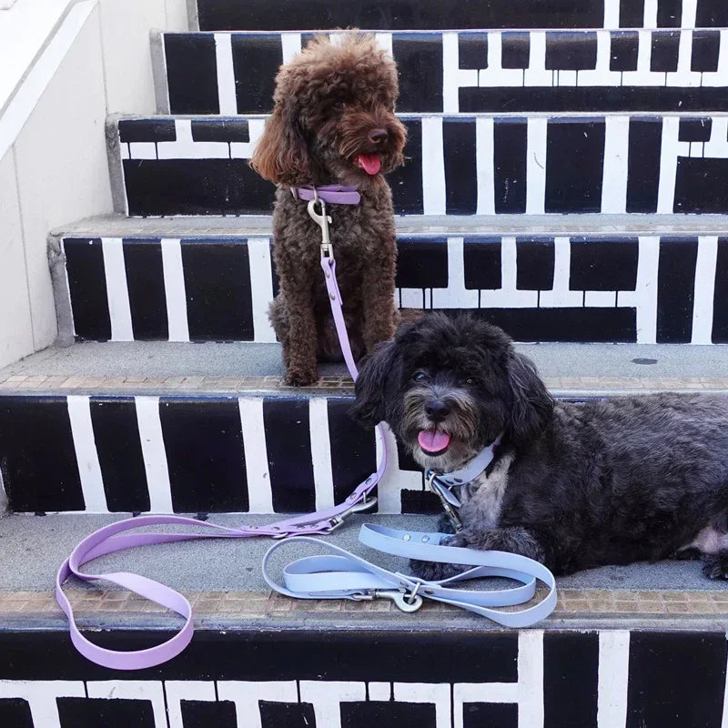 Stijlvolle Halsband-Wandelset voor Honden - Verstelbare Riem Halsband en Poepzakhouder - Ruffy
