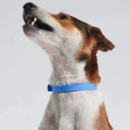 Ruffy Waterbestendige Halsband Voor Honden Slijtvast - Ruffy