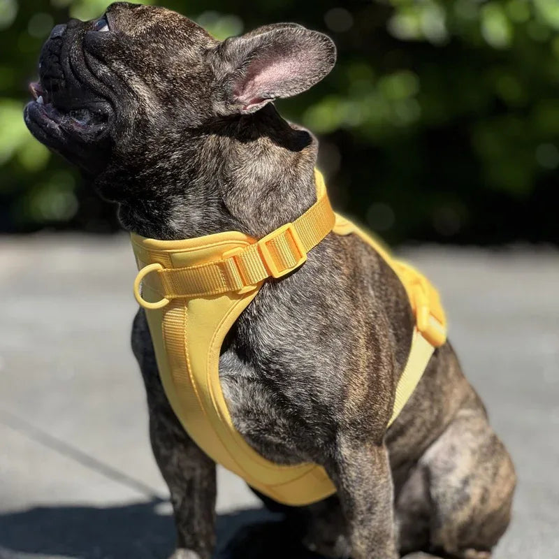Ontsnap- en Trek Proof Ademend Honden Tuig 3 Bevestigingspunten - Ruffy
