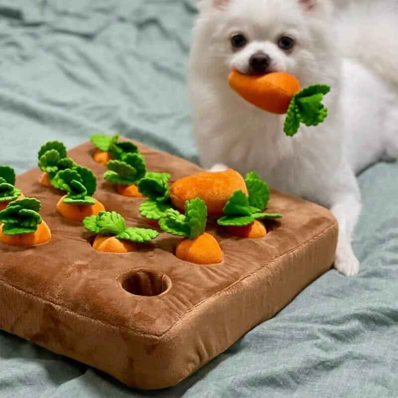 Interactief Honden Puzzel Speelgoed Wortelboerderij