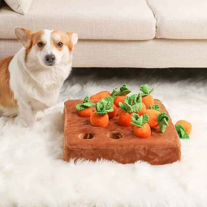 Interactief Honden Puzzel Speelgoed Wortelboerderij