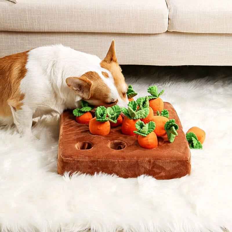 Interactief Honden Puzzel Speelgoed Wortelboerderij