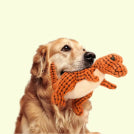 Oh Wat Handig - Snuffelen tegen verveling met een snuffelmat Oh Wat Handig - Snuffelen tegen verveling met een snuffelmat
